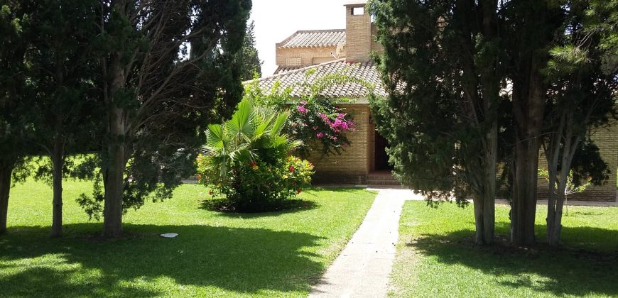 426, se alquila en JULIO casa con espectacular jardin