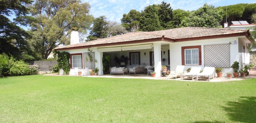 336, Se alquila casa con espectaculares vistas al mar