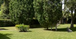 426, se alquila en JULIO casa con espectacular jardin
