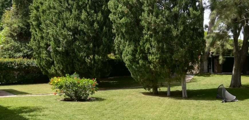 426, se alquila en JULIO casa con espectacular jardin
