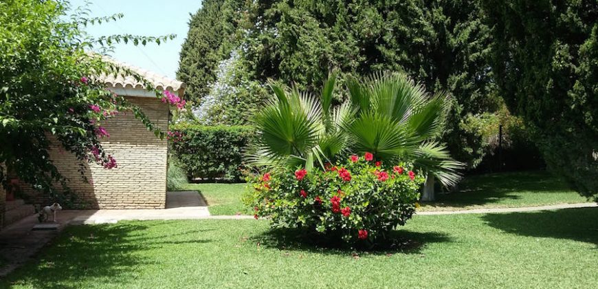 426, se alquila en JULIO casa con espectacular jardin