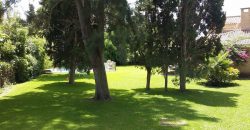 426, se alquila en JULIO casa con espectacular jardin