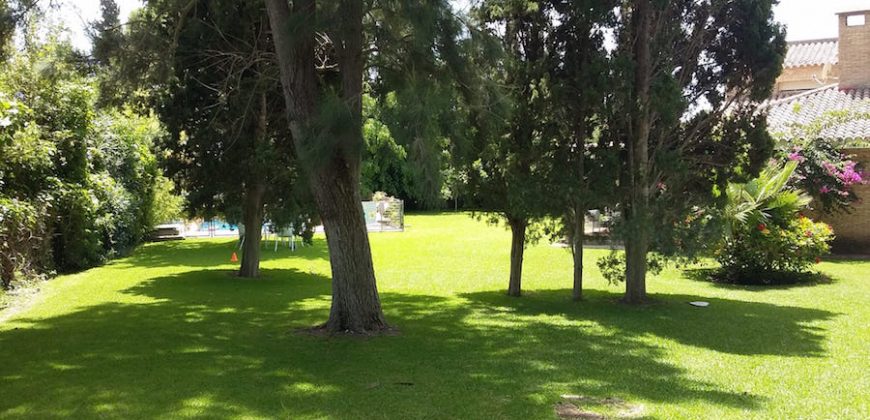 426, se alquila en JULIO casa con espectacular jardin