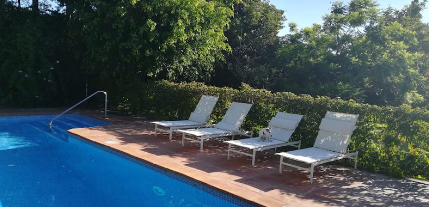 426, se alquila en JULIO casa con espectacular jardin