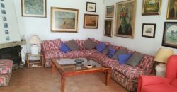 426, se alquila en JULIO casa con espectacular jardin