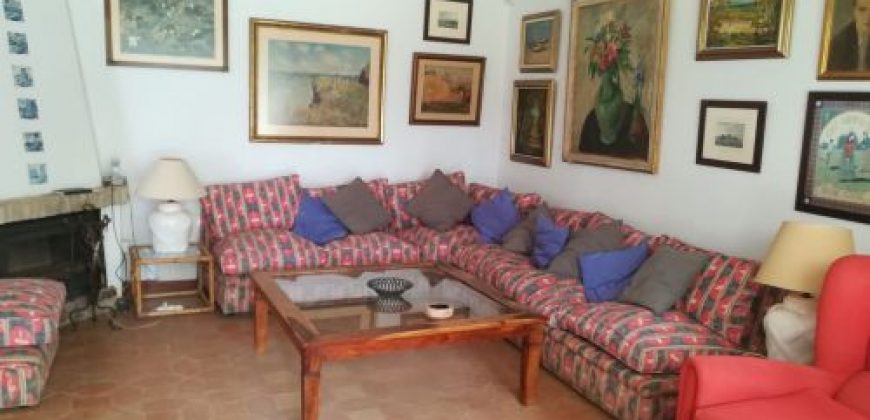 426, se alquila en JULIO casa con espectacular jardin